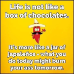 1676310816931.png