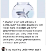 Screenshot_20230411-174815~2.png