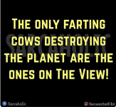1683314524155.png
