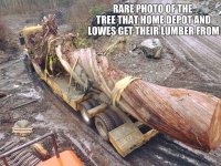 FB_IMG_1683402604051.jpg