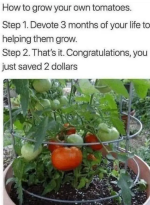 Screenshot_20230517-175136~2.png