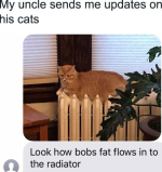 Screenshot_20230520-054600~2.png