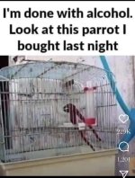 FB_IMG_1685855571193.jpg