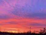 IMG_4240.JPG