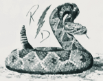 1573471003941.png