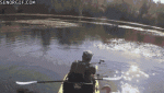 source (1).gif