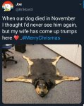 received_2559654240944214.jpeg
