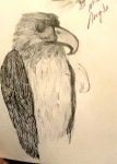 20191227_093822.jpg