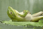 1577725293737.gif
