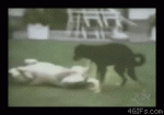 1580701924174.gif