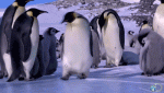 1580789133041.gif