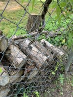 IMG_2132.jpeg
