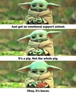 FB_IMG_1688502667916.jpg