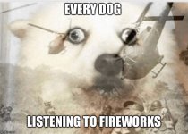 IMG_0710.jpeg
