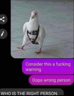 Screenshot_20230709-154402~2.png