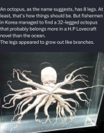 Screenshot_20230714-184039~2.png
