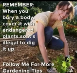 Screenshot_20230719-063219~2.png
