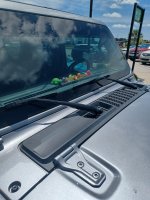 duckies.jpg