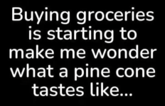 Screenshot_20230722-091745~2.png