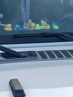 duckies3.jpg
