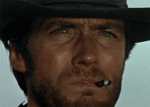 1691036544048.gif