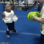 1691890517657.gif