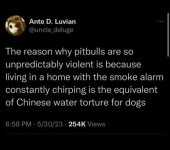 IMG_0747.jpeg