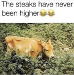 FB_IMG_1692298575579.jpg