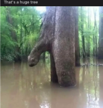 Screenshot_20230818-193602~2.png