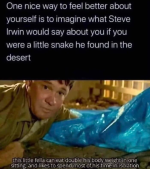 Screenshot_20230819-213500~2.png