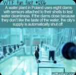Screenshot_20230824-201346~2.png
