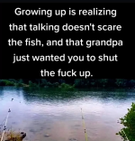 1693087375546.png