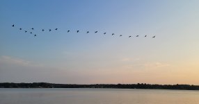 20230827_072237.jpg