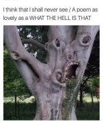 1693372799065.jpeg