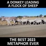 1693429127090.jpeg