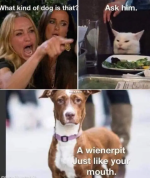 Screenshot_20230904-132329~2.png