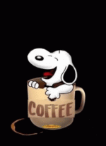 1693911377448.gif