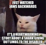 Screenshot_20230904-050703~2.png