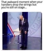 1694428125262.jpeg