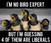 1694868108562.png
