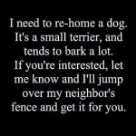 FB_IMG_1695250437166.jpg