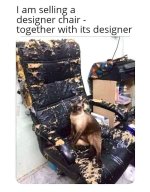FB_IMG_1695250418238.jpg