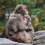 1695472225565.jpeg