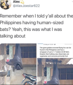 Screenshot_20230925-181130~2.png