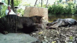 1696088535018.gif