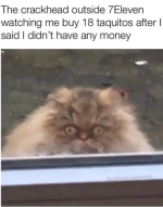 Screenshot_20231006-175036~2.png