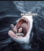 1696964070158.jpeg
