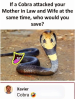 Screenshot_20231017-064325~2.png
