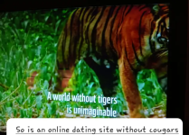 Screenshot_20231022-075503~2.png