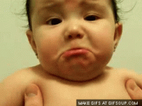 1698436645181.gif